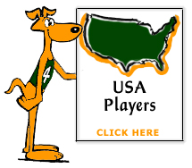 USA Form
